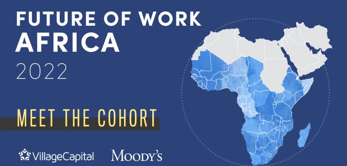 This image has an empty alt attribute; its file name is Future-of-Work-Africa_Meet-the-Cohort-702x336.png